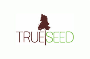 TRUE-SPEED-15-893x589